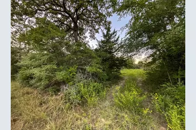 Tbd Hwy 7 and Lcr 706 - 229 Acres, Kosse, TX 76653 - Photo 5