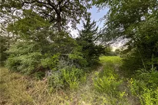 Tbd Hwy 7 and Lcr 706 - 229 Acres, Kosse, TX 76653 - Photo 5