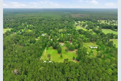 440 Dickens N, Livingston, TX 77351 - Photo 49