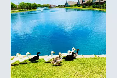 7238 Vanessa Drive, Corpus Christi, TX 78414 - Photo 49