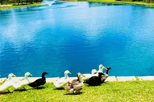 7238 Vanessa Dr, Corpus Christi, TX 78414 - Photo 49