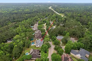 63 W Horizon Ridge Pl, The Woodlands, TX 77381 - Photo 47