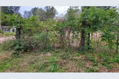 0 Beverly Dr Shepherd, Tx 77371, Shepherd, TX 77371 - Photo 3