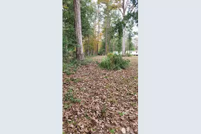 0 Beverly Drive, Shepherd, TX 77371 - Photo 1