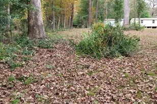 0 Beverly Dr Shepherd Tx 77371, Shepherd, TX 77371 - Photo 1