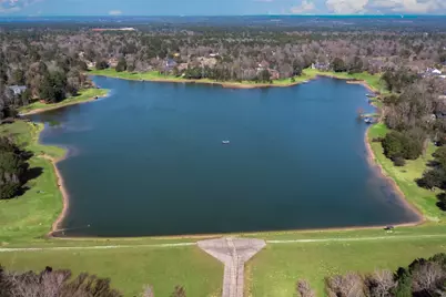 304 Ridgelake Scenic Drive, Montgomery, TX 77316 - Photo 47