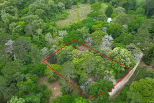 23607 Cardinal Dr, Hockley, TX 77447 - Photo 47