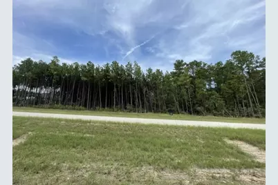 15963 Forest Grove Drive, Willis, TX 77378 - Photo 3