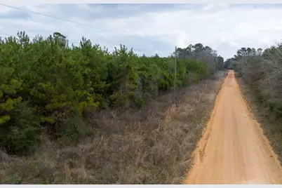 1 Union Springs Road, Corrigan, TX 75939 - Photo 21