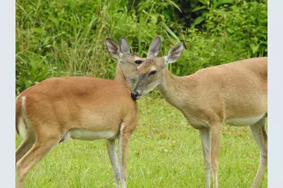 998 Cypress Lakes Circle, Cleveland, TX 77327 - Photo 29