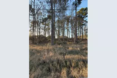 0 Hueni Road, Porter, TX 77365 - Photo 13