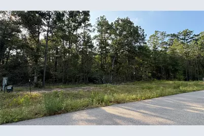 202 County Road 6311, Dayton, TX 77535 - Photo 1