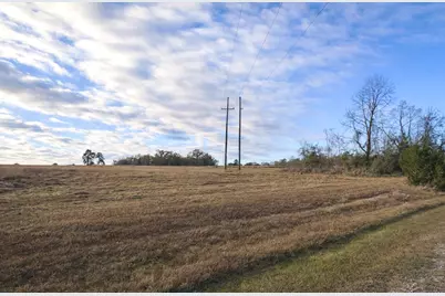 Lot 14 Charleston Street, Trinity, TX 75862 - Photo 3
