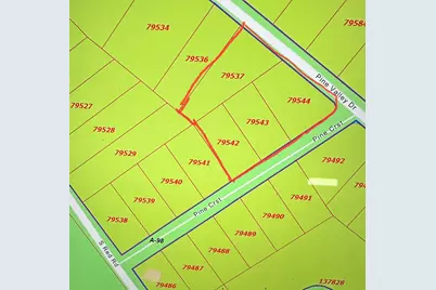 0 Pine Crest Street, Shepherd, TX 77371 - Photo 1