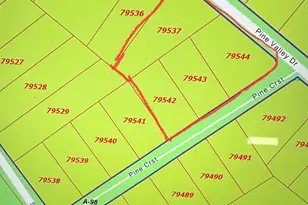 0 Pine Crest St, Shepherd, TX 77371 - Photo 1