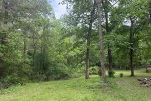 Lot 34 Gov Latham Circle, Point Blank, TX 77364 - Photo 7