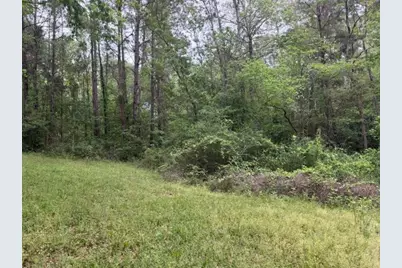 Lot 34 Gov Latham Circle, Point Blank, TX 77364 - Photo 23