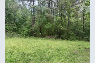 Lot 34 Gov Latham Circle, Point Blank, TX 77364 - Photo 13