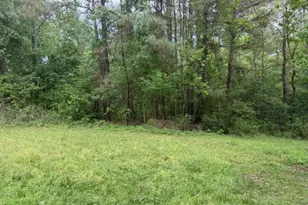 Lot 34 Gov Latham Circle, Point Blank, TX 77364 - Photo 13