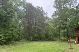 Lot 34 Gov Latham Circle, Point Blank, TX 77364 - Photo 27