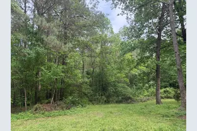 Lot 34 Gov Latham Circle, Point Blank, TX 77364 - Photo 9