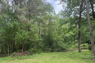 Lot 34 Gov Latham Circle, Point Blank, TX 77364 - Photo 9