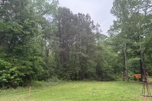 Lot 34 Gov Latham Circle, Point Blank, TX 77364 - Photo 29