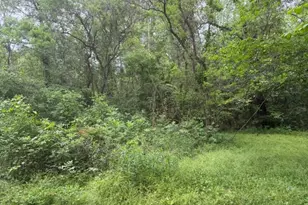 Lot 34 Gov Latham Circle, Point Blank, TX 77364 - Photo 17