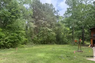 Lot 34 Gov Latham Circle, Point Blank, TX 77364 - Photo 3