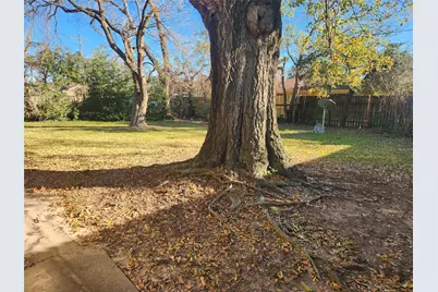 903 Peach Spring Drive, Houston, TX 77088 - Photo 5