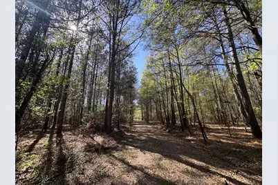 Tbd County Road 3930, Colmesneil, TX 75938 - Photo 1