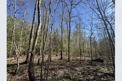 Tbd County Road 3930, Colmesneil, TX 75938 - Photo 3