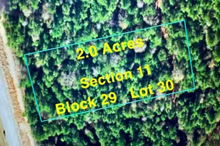 11-29-30 Grey Feather Rd, Huntsville, TX 77340 - Photo 1