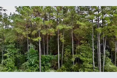 11-29-30 Grey Feather Rd, Huntsville, TX 77340 - Photo 9