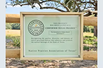 3055 Fm 956, Schulenburg, TX 78956 - Photo 11