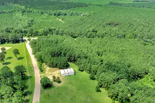 Tbd Hwy 287 S, Woodville, TX 75979 - Photo 1