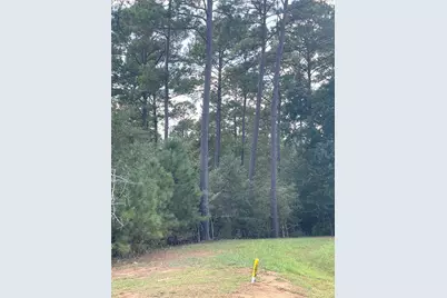 9424 Old Cedars Drive, Plantersville, TX 77363 - Photo 5