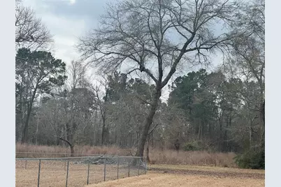 545 County Road 3017, Dayton, TX 77535 - Photo 11