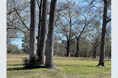 545 County Road 3017, Dayton, TX 77535 - Photo 7