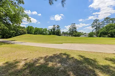 17 Buttonbush Court, The Woodlands, TX 77380 - Photo 49