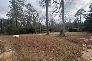 305 Ivanhoe Estates Dr E, Ivanhoe, TX 75979 - Photo 3