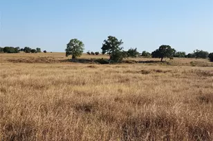 Tbd Tbd Fm 318, Hallettsville, TX 77964 - Photo 3