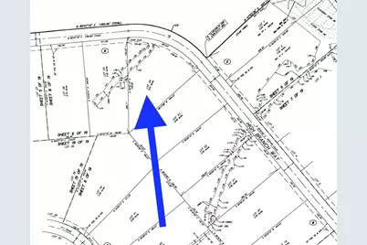 11968 High Branch Way, Willis, TX 77378 - Photo 3