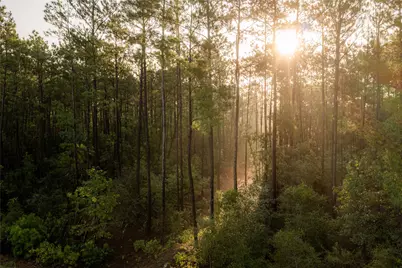 11968 High Branch Way, Willis, TX 77378 - Photo 11