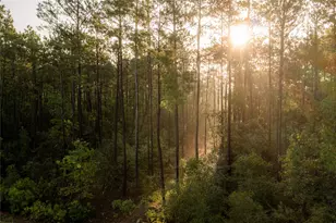 11968 High Br Wy, Willis, TX 77378 - Photo 11