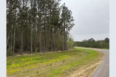 11968 High Branch Way, Willis, TX 77378 - Photo 5