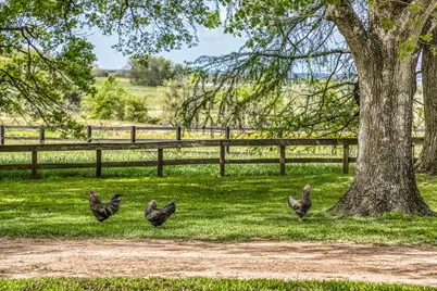 1289 Bluebonnet Ridge Drive, Chappell Hill, TX 77426 - Photo 31