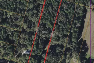 Tbd Dove Creek Dr, Coldspring, TX 77331 - Photo 1