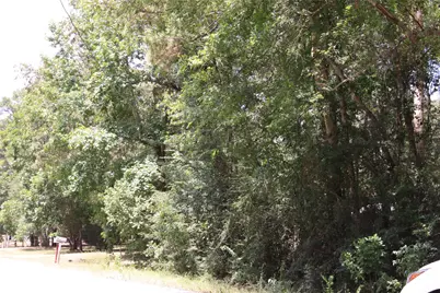 Tbd Dove Creek Drive, Coldspring, TX 77331 - Photo 3