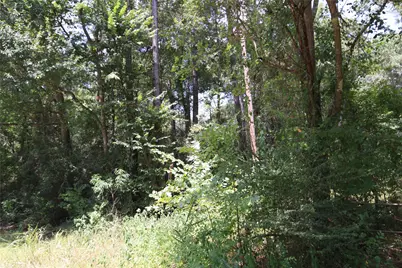 Tbd Dove Creek Drive, Coldspring, TX 77331 - Photo 5
